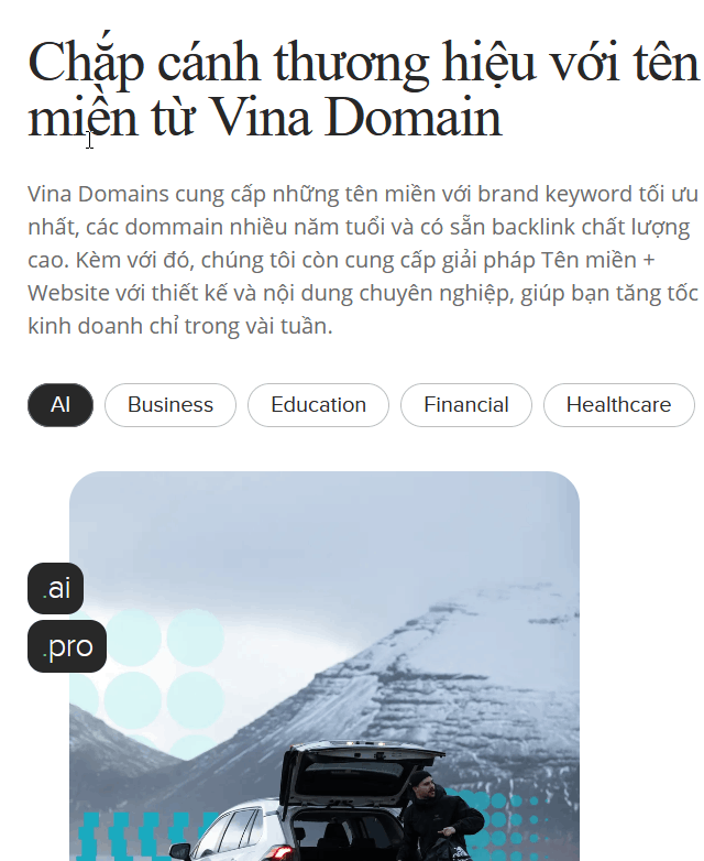 Vina Domain